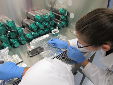 Biotech Students Sewing Seeds for Million Orchid Project